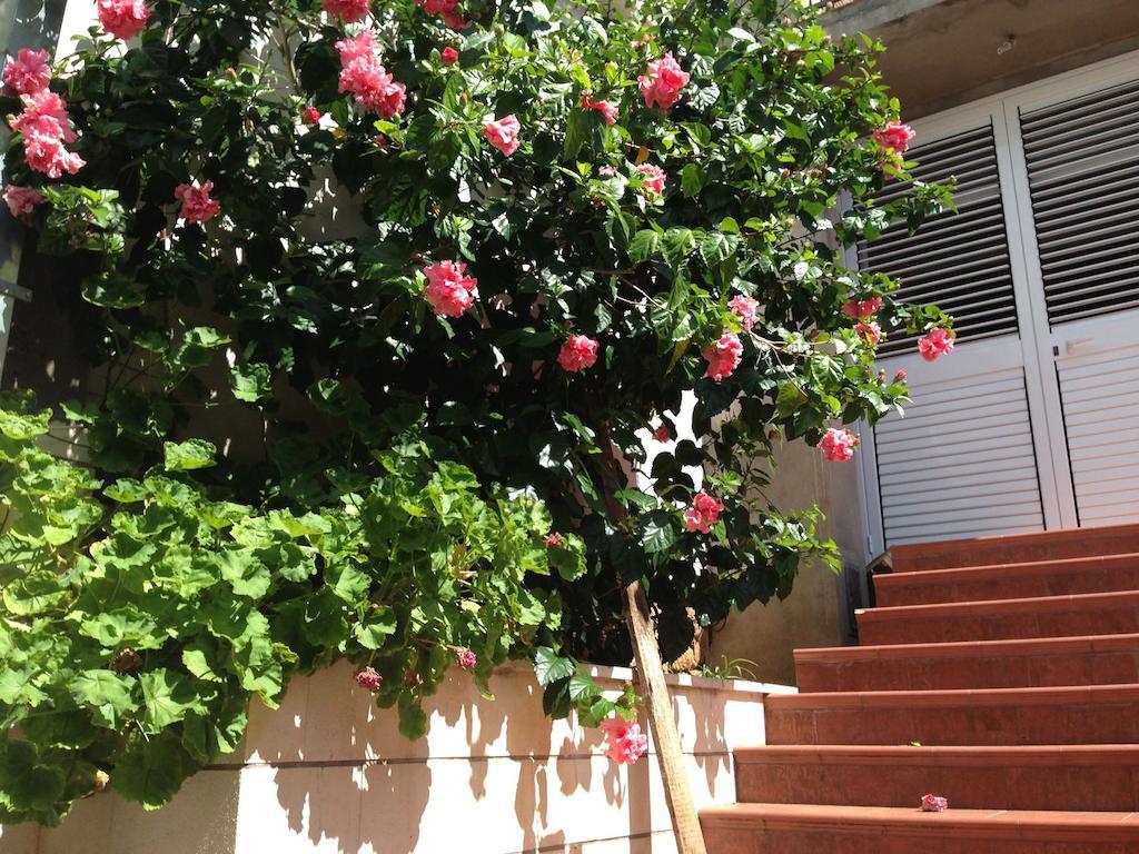 D&R Boreta Apartments Budva Kültér fotó