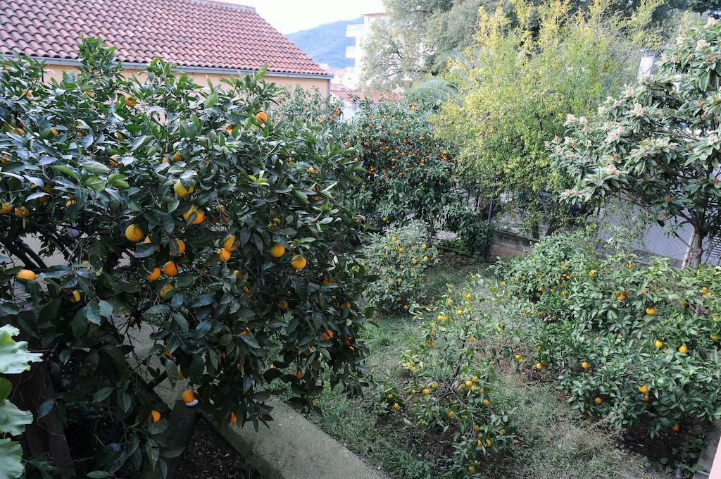 D&R Boreta Apartments Budva Kültér fotó